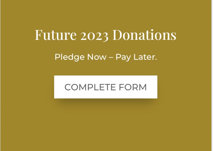 Future 2023 Donations button